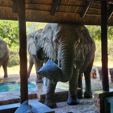Twiga Lodge Mabalingwe Bela-Bela Exteriér fotografie