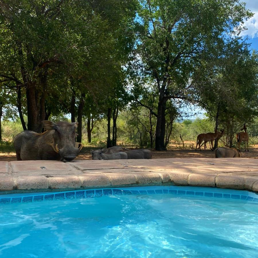 Twiga Lodge Mabalingwe Bela-Bela Exteriér fotografie