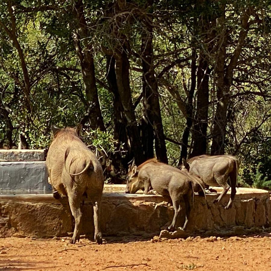 Twiga Lodge Mabalingwe Bela-Bela Exteriér fotografie
