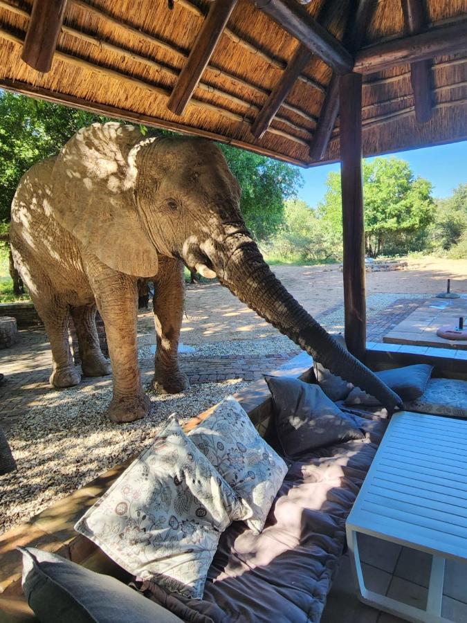 Twiga Lodge Mabalingwe Bela-Bela Exteriér fotografie