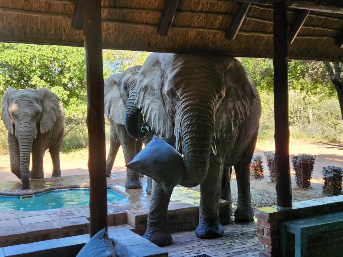Twiga Lodge Mabalingwe Bela-Bela Exteriér fotografie